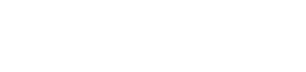 Trans services unigroup